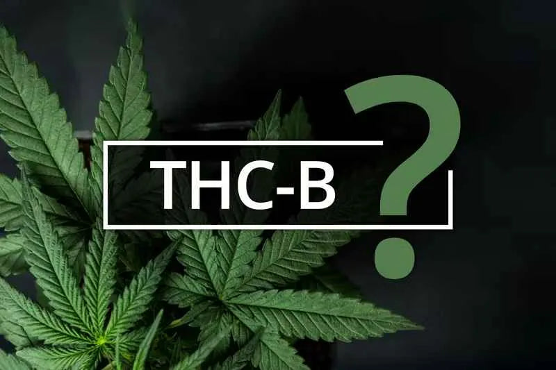 Vad är THCB?
