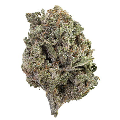 THCA Buds (COATED) - Bangkok Sativa 15% - Flying Moose 5g - Kiosk Igloo