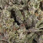 THCA Buds (COATED) - Bangkok Sativa 15% 100g
