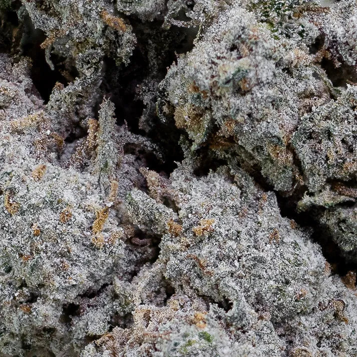 THCA Buds - Papaya Runtz 22% - 5g