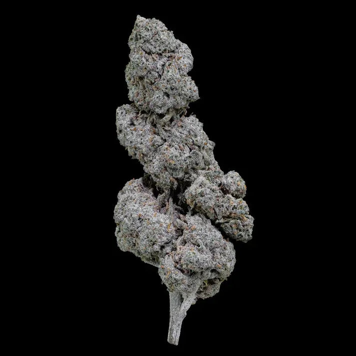 THCA Buds - Papaya Runtz 22% - 5g