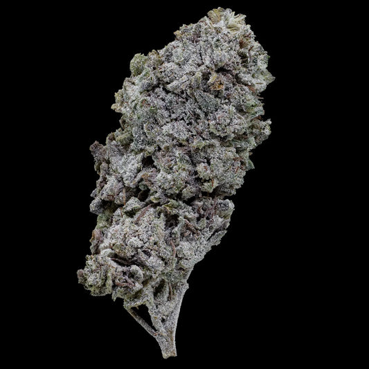 THCA Buds - Snow Kush Glasshouse - 23% THCA