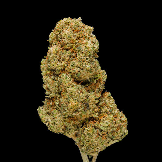 THCA Buds - L'Orange - 25% THCA